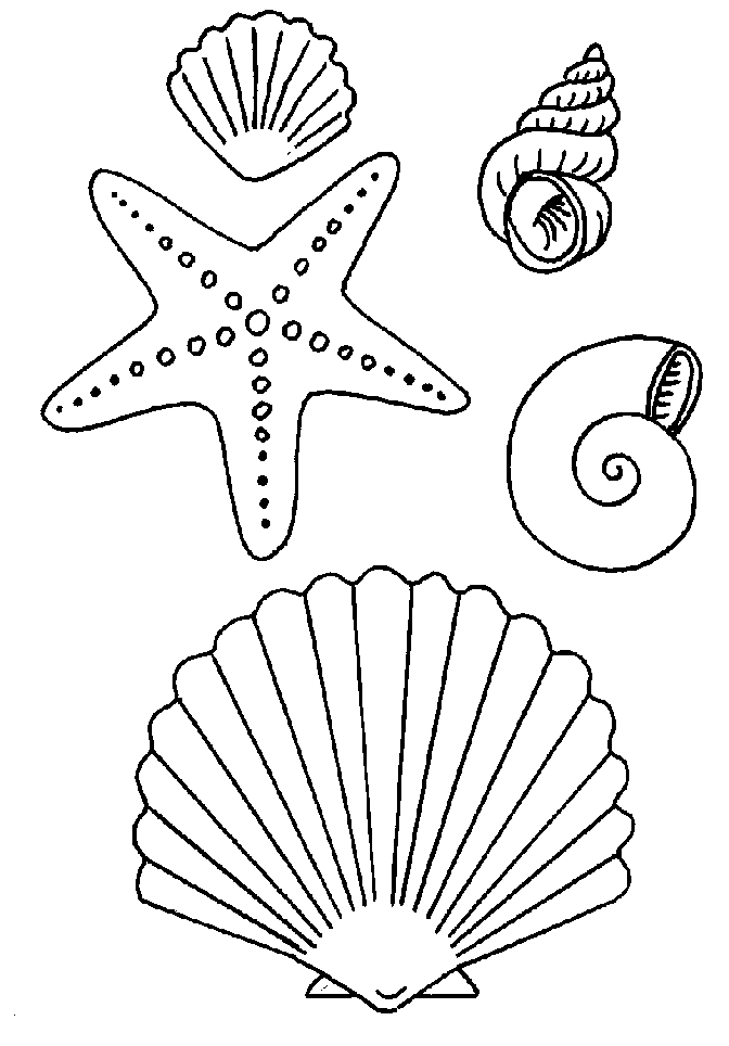 Coloriage d'une étoile de mer sur le fond marin