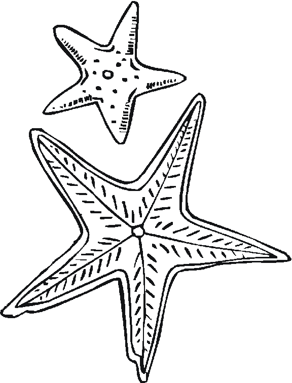 Coloriage d'une étoile de mer sur un fond marin