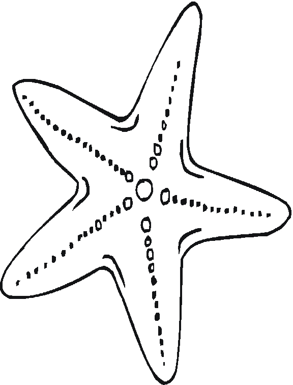 Coloriage d'une étoile de mer sur le sable avec des éléments marins