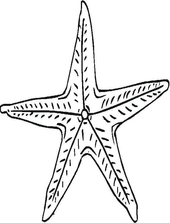 Coloriage d'une étoile de mer sur un fond marin