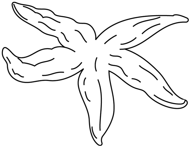 Coloriage d'une étoile de mer sur le sable marin