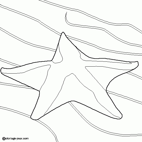 Coloriage d'une étoile de mer sur fond marin
