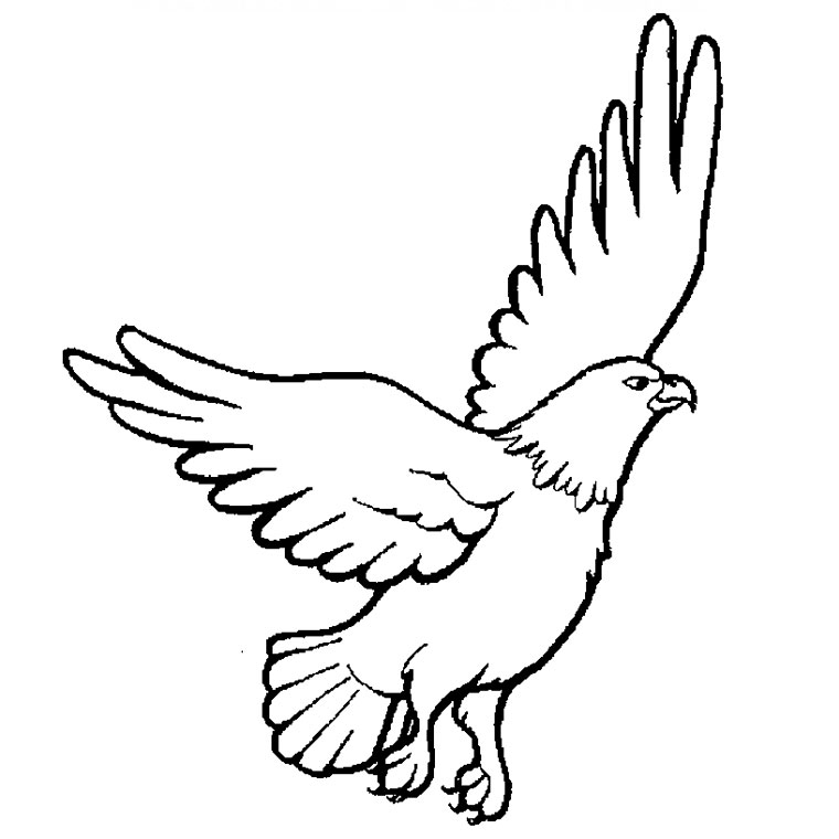 Coloriage Faucon #5486 à imprimer Coloriage Faucon #5486 à imprimer