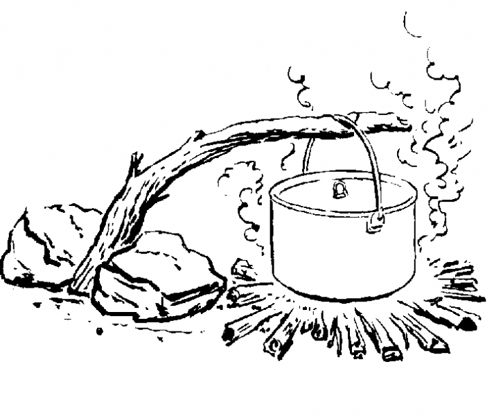 Feu de camp entouré de nature et d'éléments chaleureux