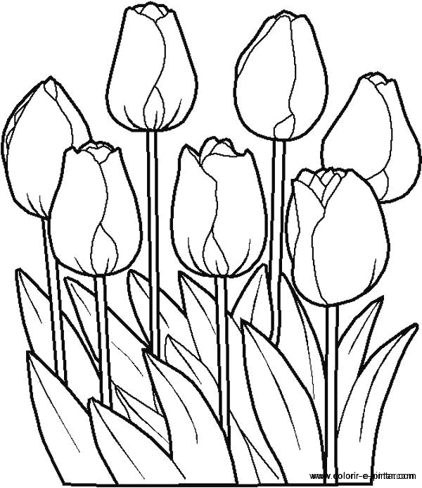Coloriage de fleurs variées dans un cadre naturel