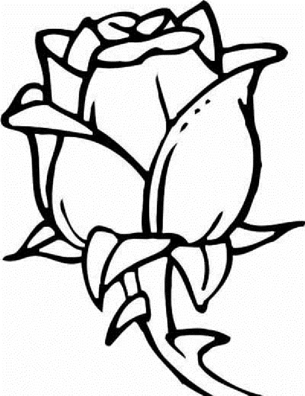 Coloriage de fleurs variées dans un jardin en pleine floraison