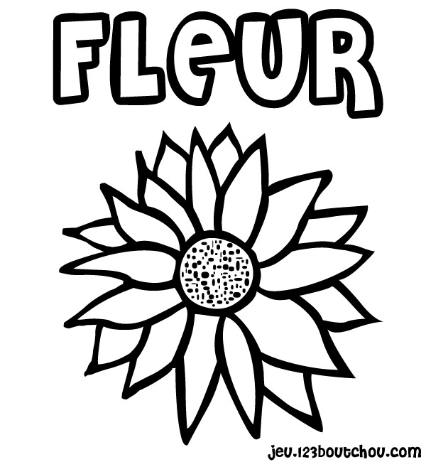 Coloriage de fleurs variées sur un fond délicat