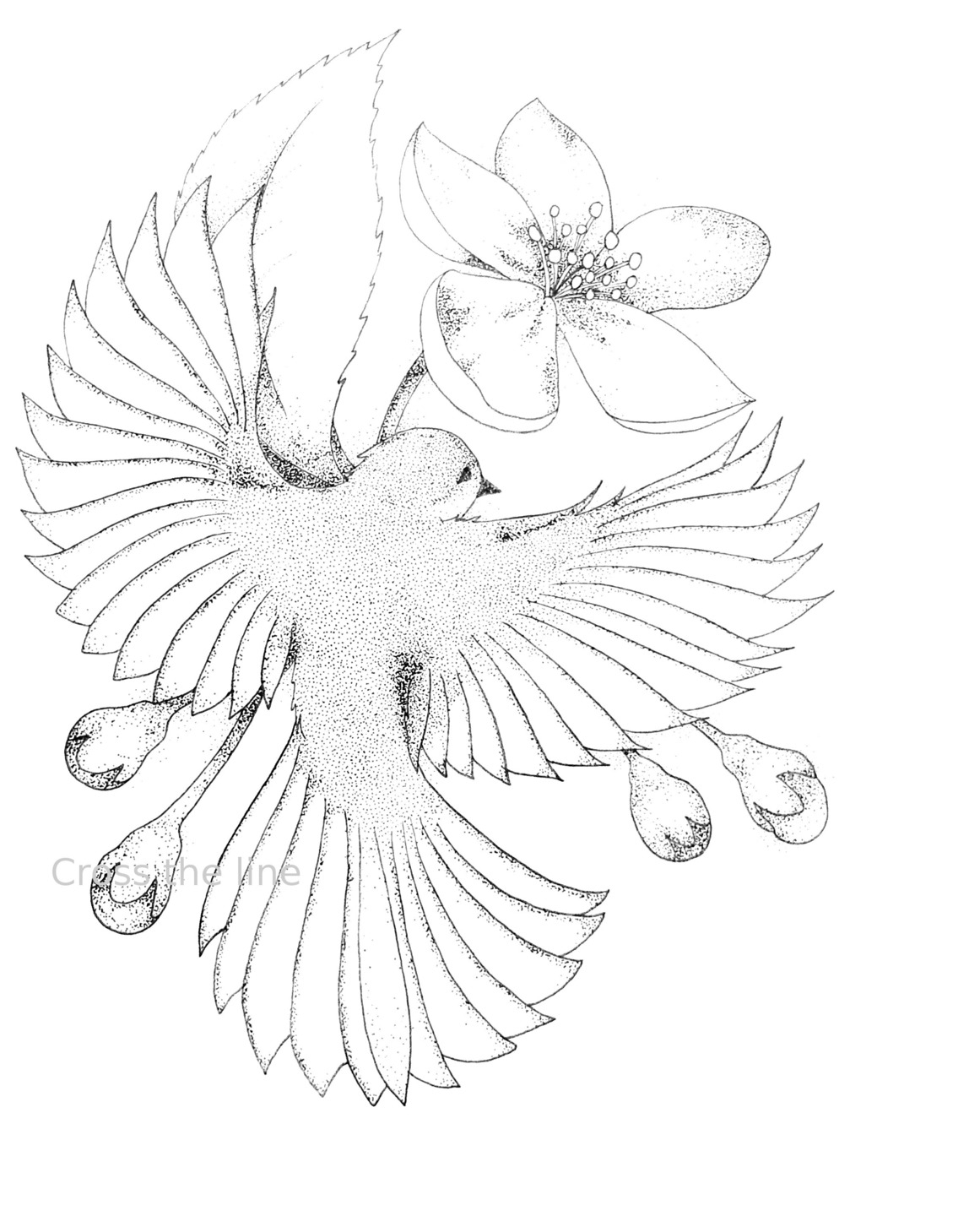 Coloriage de fleurs variées avec détails botaniques