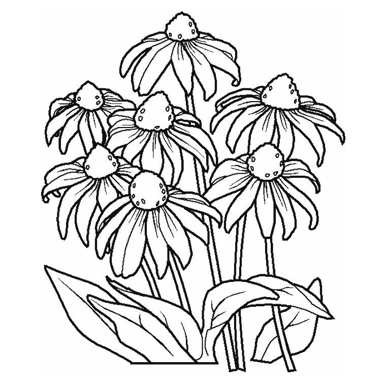 Coloriage de fleurs variées dans un jardin luxuriant
