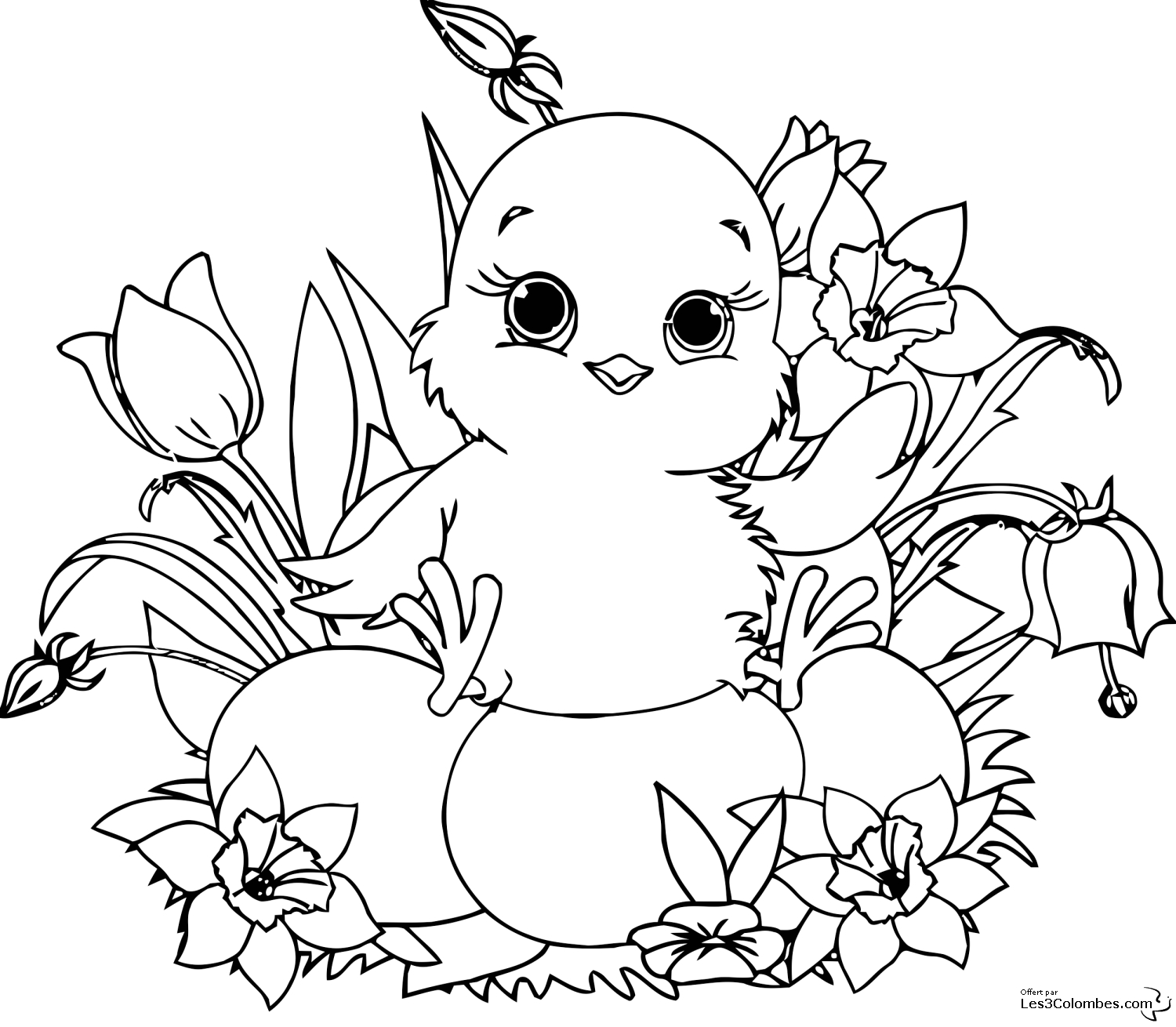 Coloriage de fleurs variées dans un jardin en pleine floraison