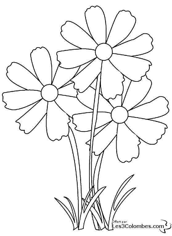 Coloriage de fleurs délicates dans un jardin en pleine floraison