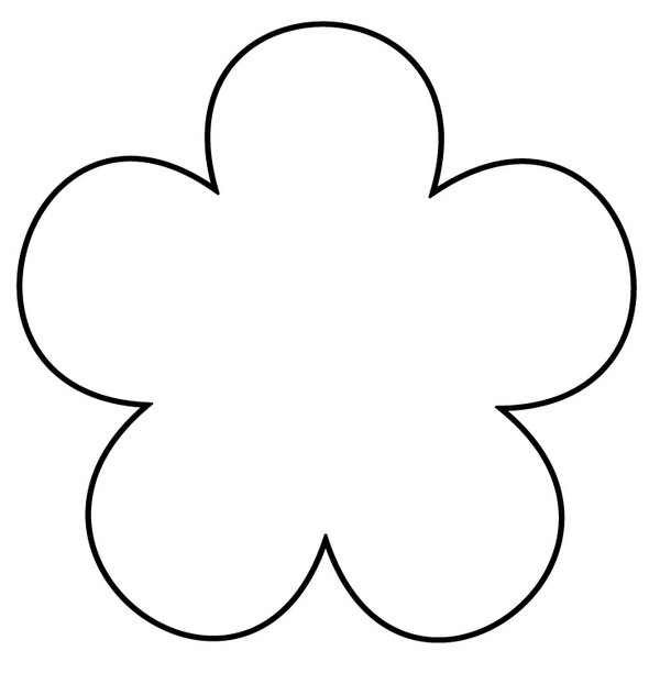 Coloriage de fleurs variées avec des détails floraux riches
