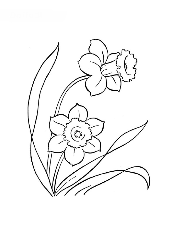 Coloriage de fleurs stylisées avec feuillage