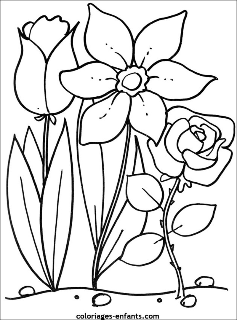 Coloriage de fleurs variées avec détails naturels
