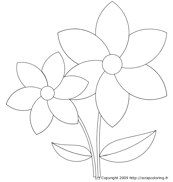 Coloriage de fleurs variées en pleine floraison