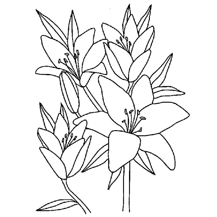 Coloriage de fleurs avec tiges et feuilles détaillées