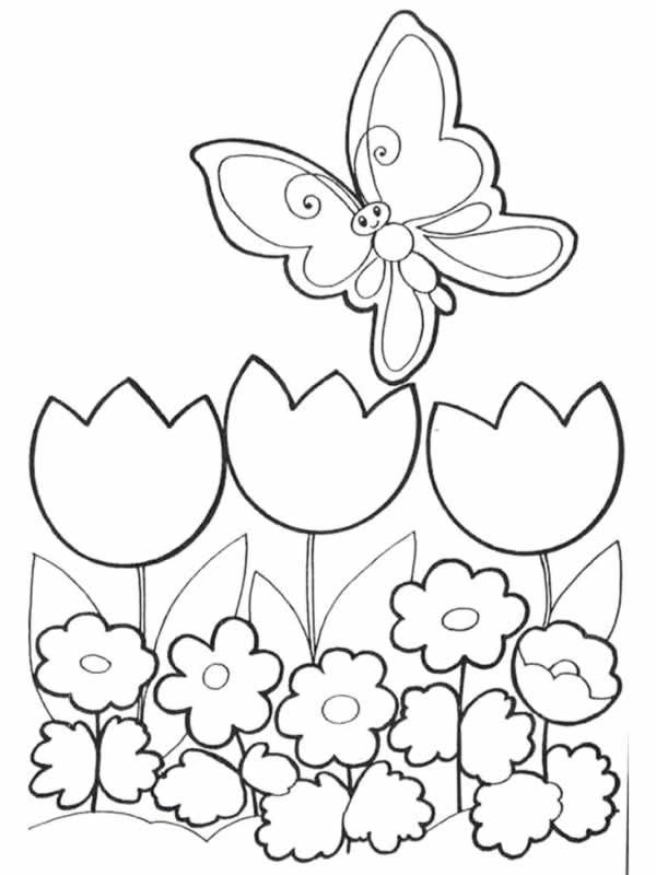 Coloriage de fleurs variées sur fond blanc