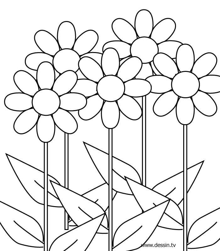 Coloriage de fleurs variées dans un jardin stylisé