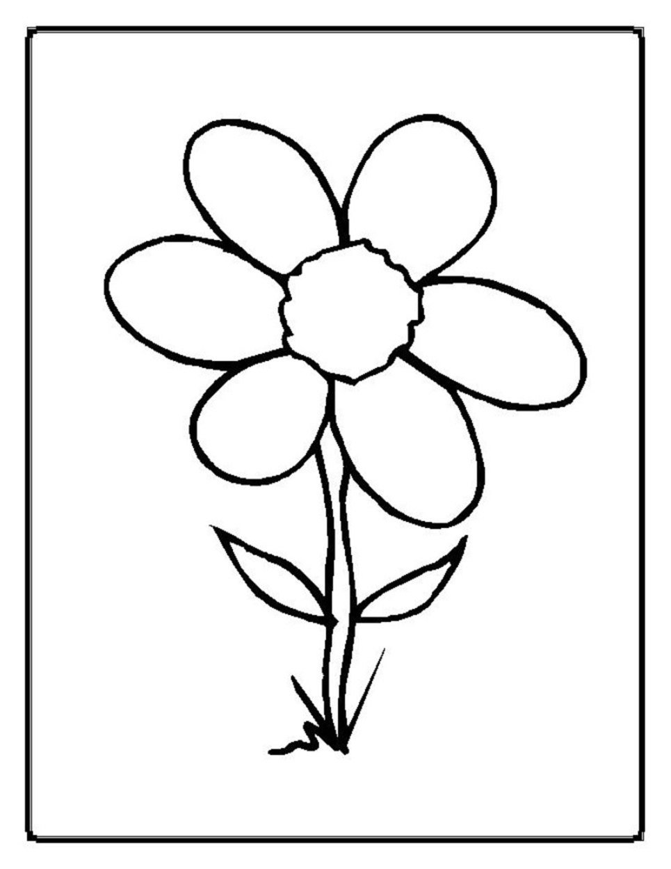 Coloriage de fleurs en pleine floraison avec des détails délicats