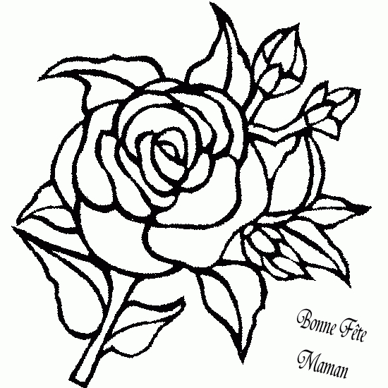 Coloriage de fleurs variées sur fond simple