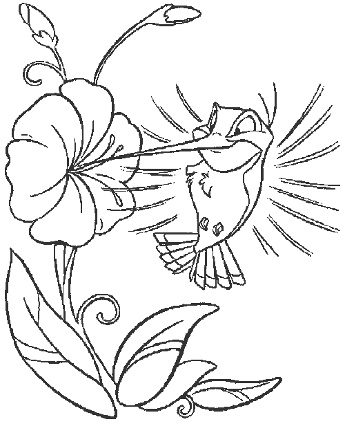 Coloriage de fleurs variées en pleine floraison