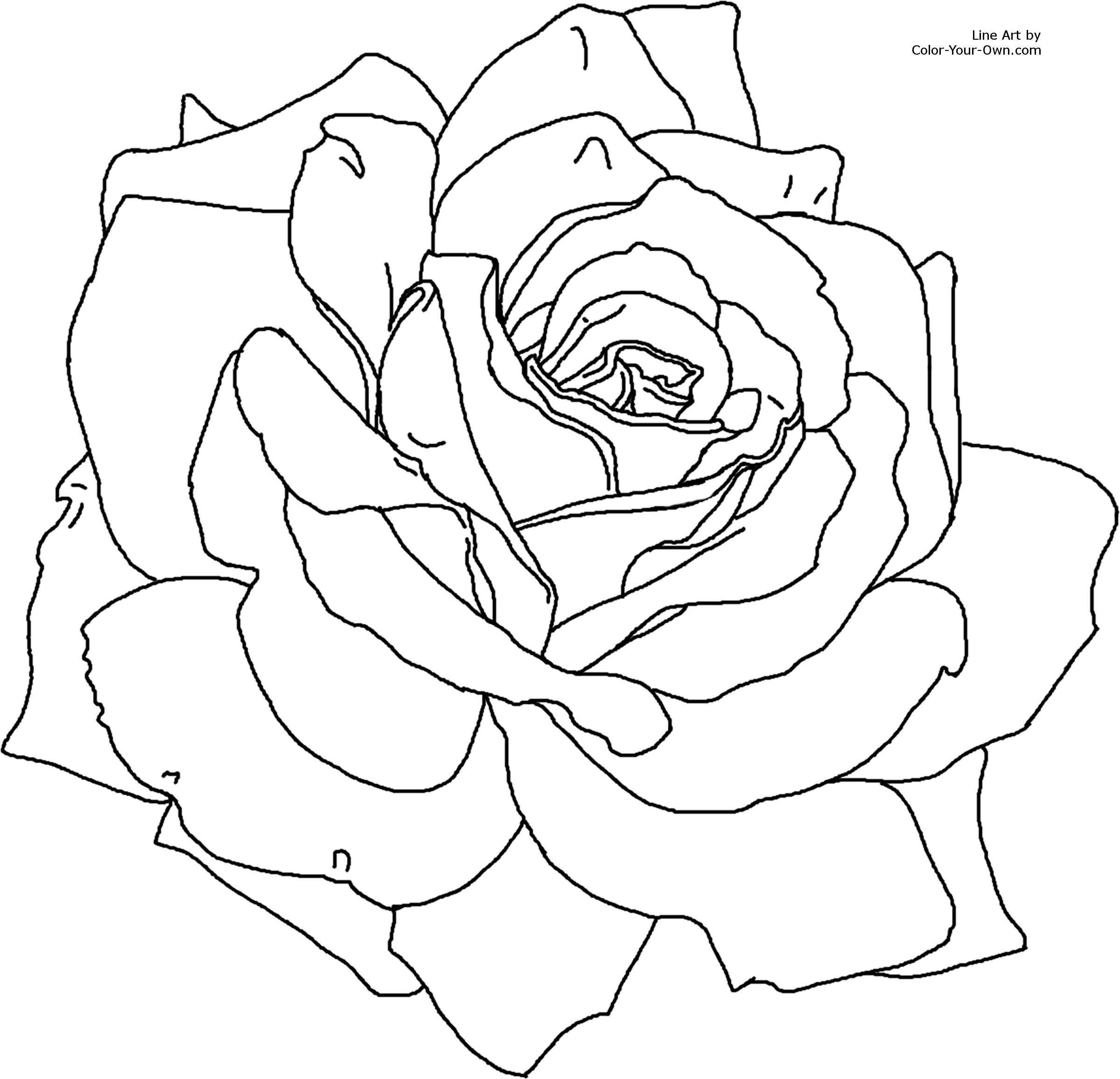 Coloriage de fleurs variées dans un jardin luxuriant