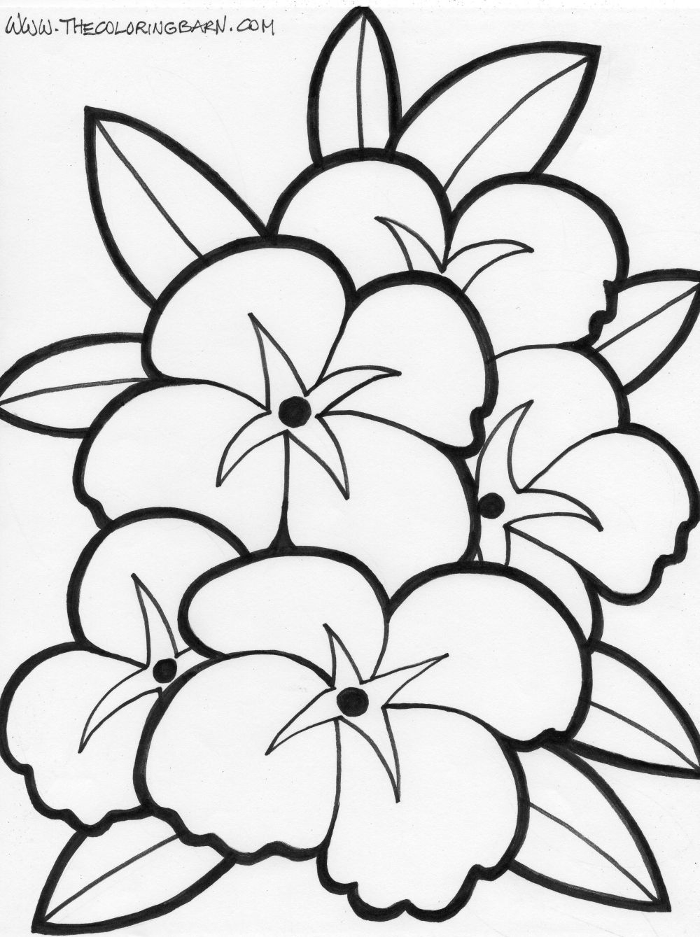 Coloriage de fleurs variées en pleine floraison