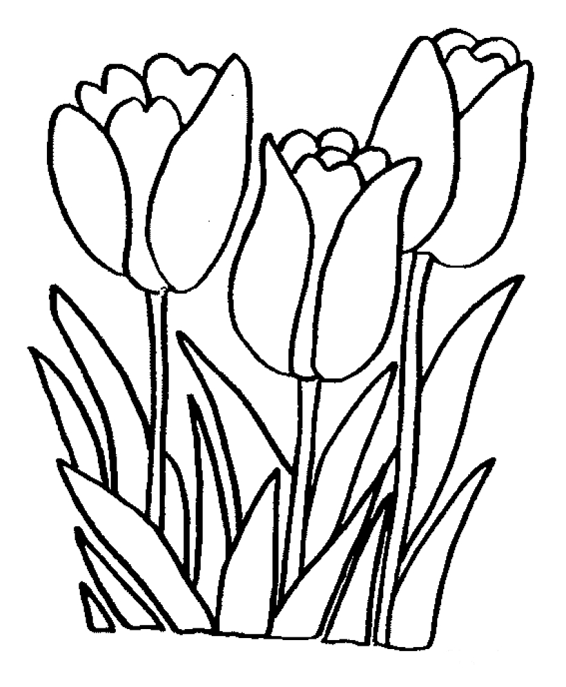 Coloriage de fleurs variées dans un jardin luxuriant