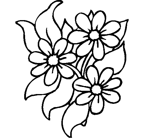 Coloriage de fleurs variées en pleine floraison
