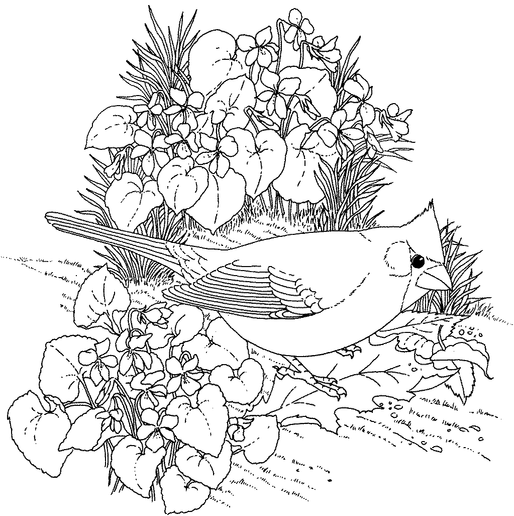 Coloriage de fleurs variées dans un jardin luxuriant