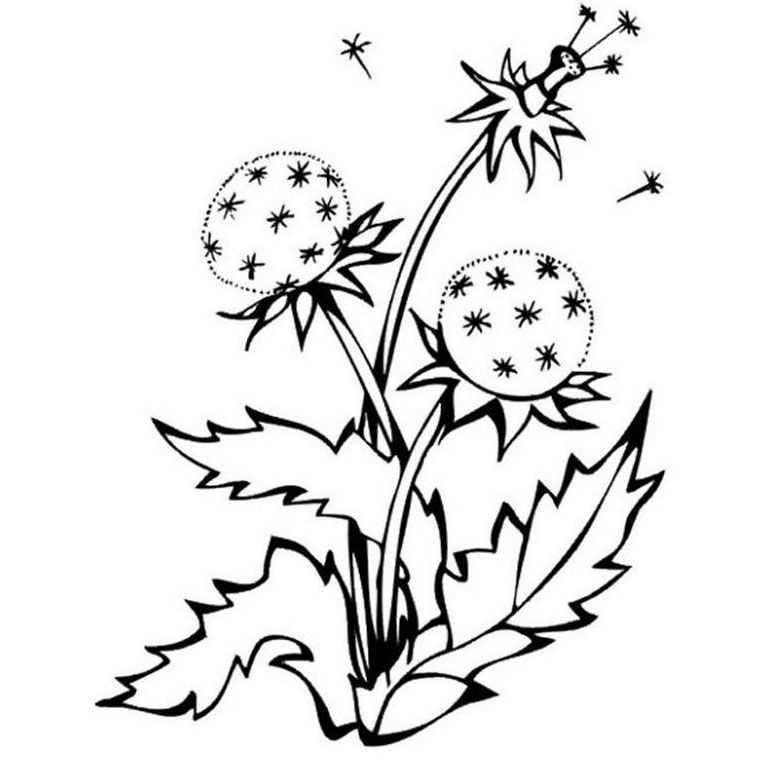 Coloriage de fleurs variées sur fond naturel