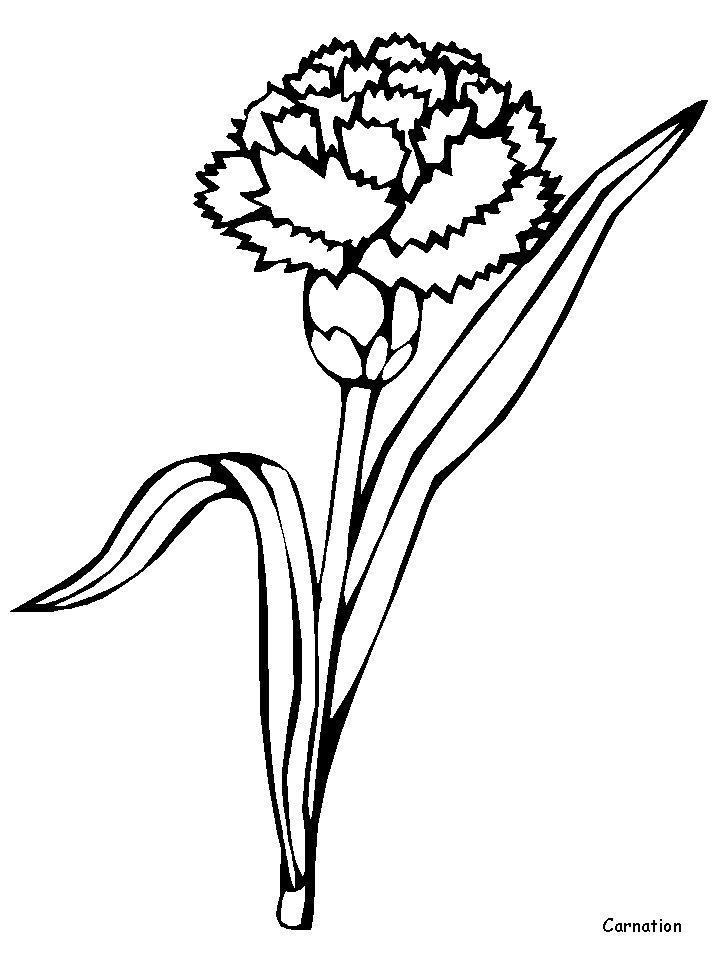 Coloriage de fleurs délicates sur fond floral