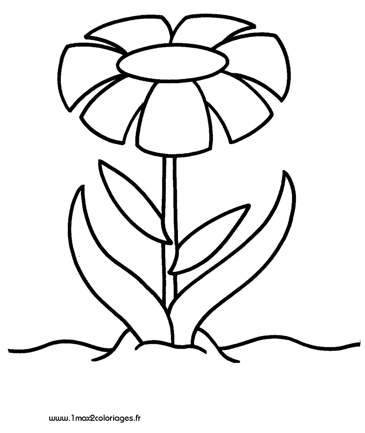 Coloriage de fleurs variées dans un jardin stylisé