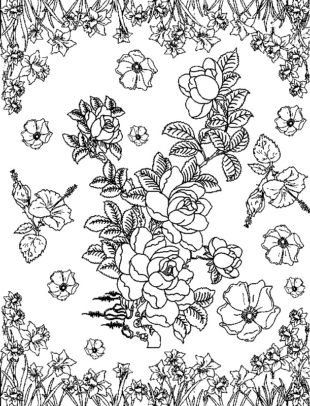 Coloriage de fleurs variées sur un fond simple