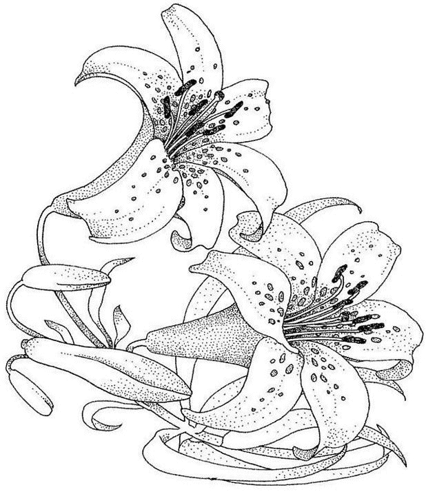 Coloriage de fleurs variées avec des motifs délicats