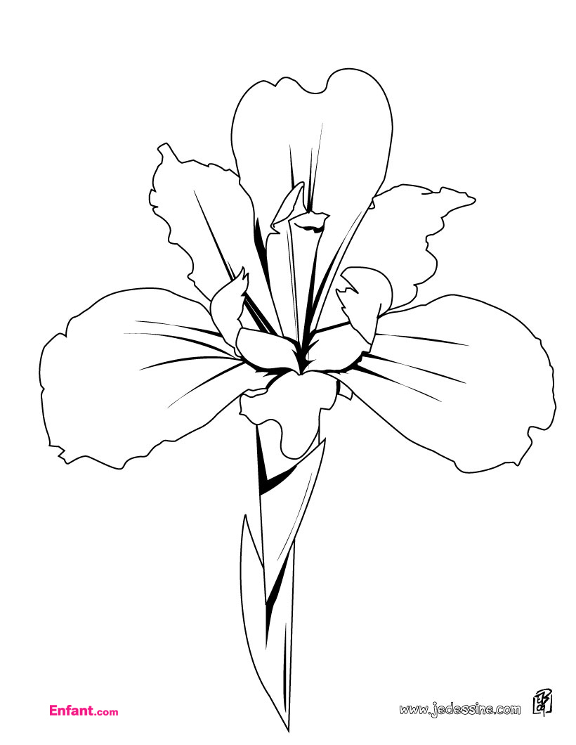 Coloriage de fleurs variées dans un jardin joyeux