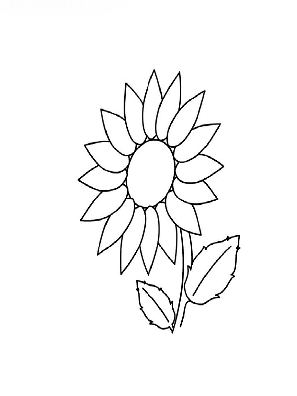 Coloriage de fleurs variées dans un jardin
