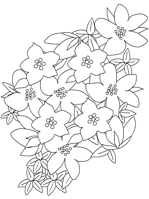 Coloriage de fleurs variées en pleine floraison
