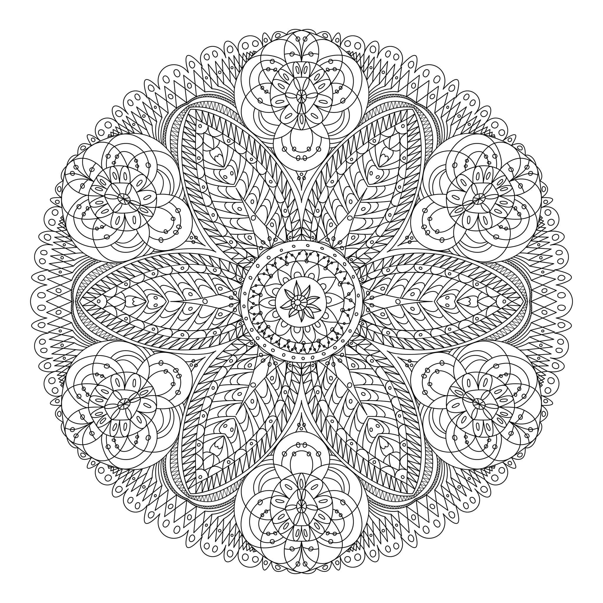 Coloriage de fleurs variées dans un jardin stylisé
