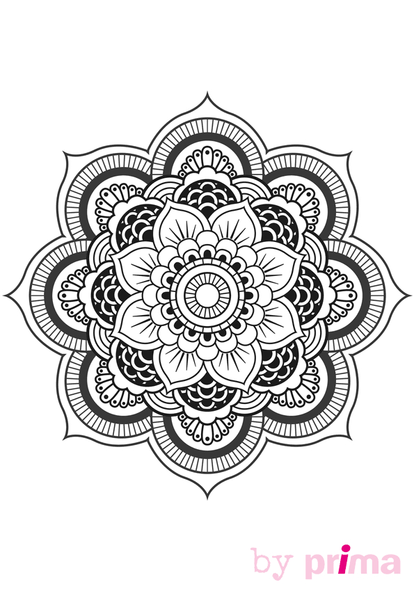 Coloriage de fleurs élégantes sur fond floral