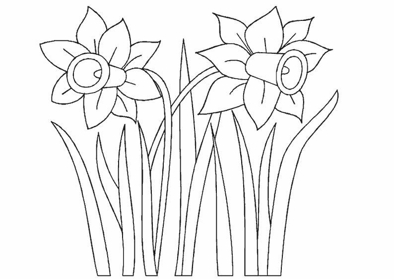 Coloriage de fleurs variées avec détails naturels