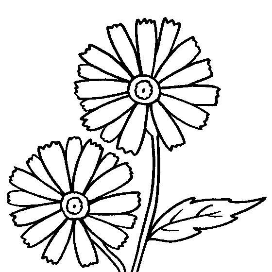 Coloriage de fleurs aux formes variées dans un jardin stylisé