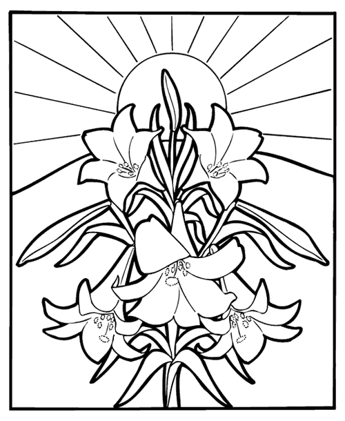 Coloriage de fleurs variées avec des détails raffinés