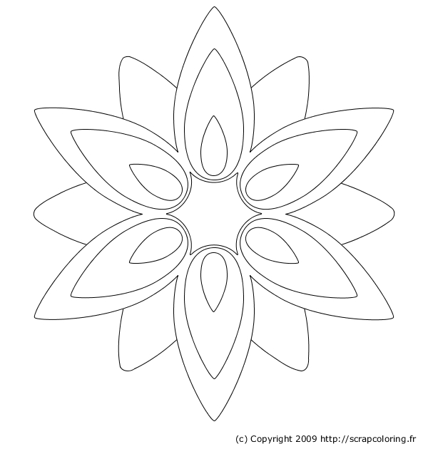 Coloriage de fleurs épanouies entourées de feuillage