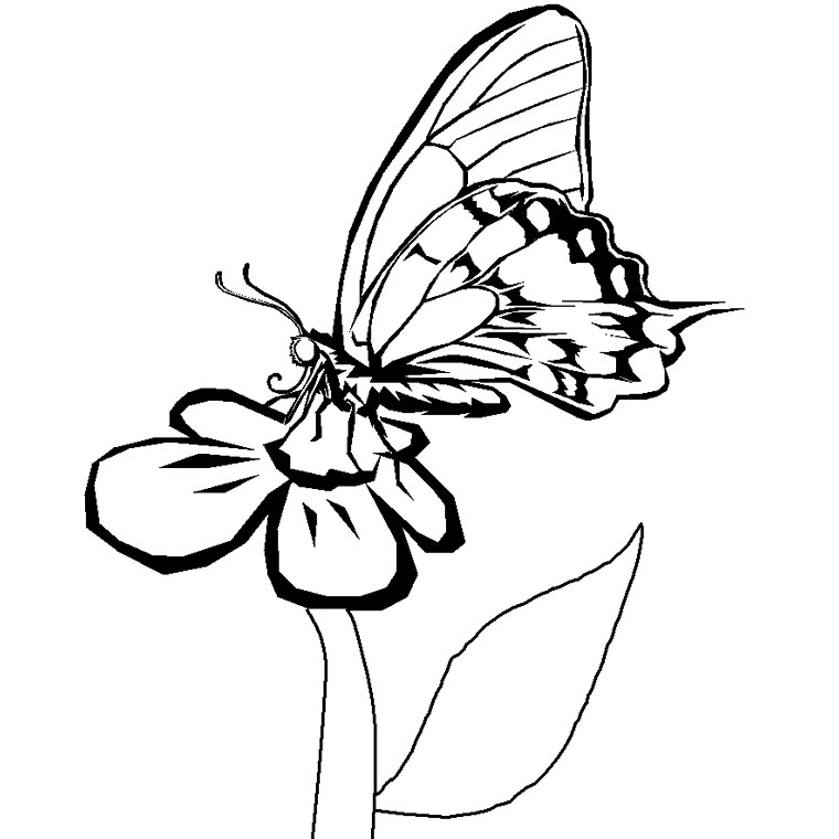 Coloriage de fleurs variées avec tiges et feuillage