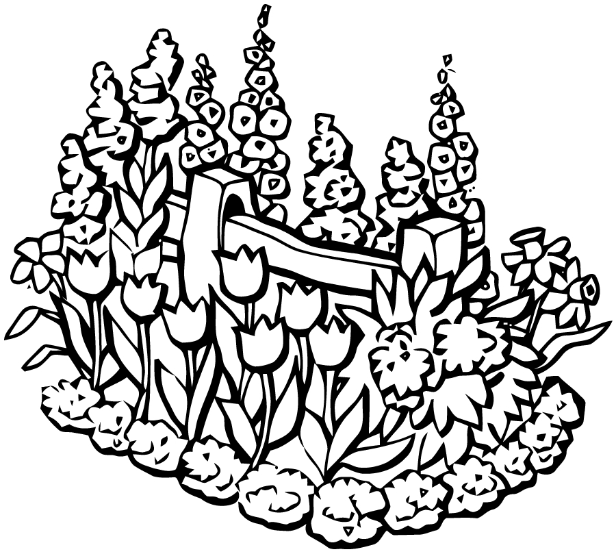 Coloriage de fleurs variées avec détails ornementaux