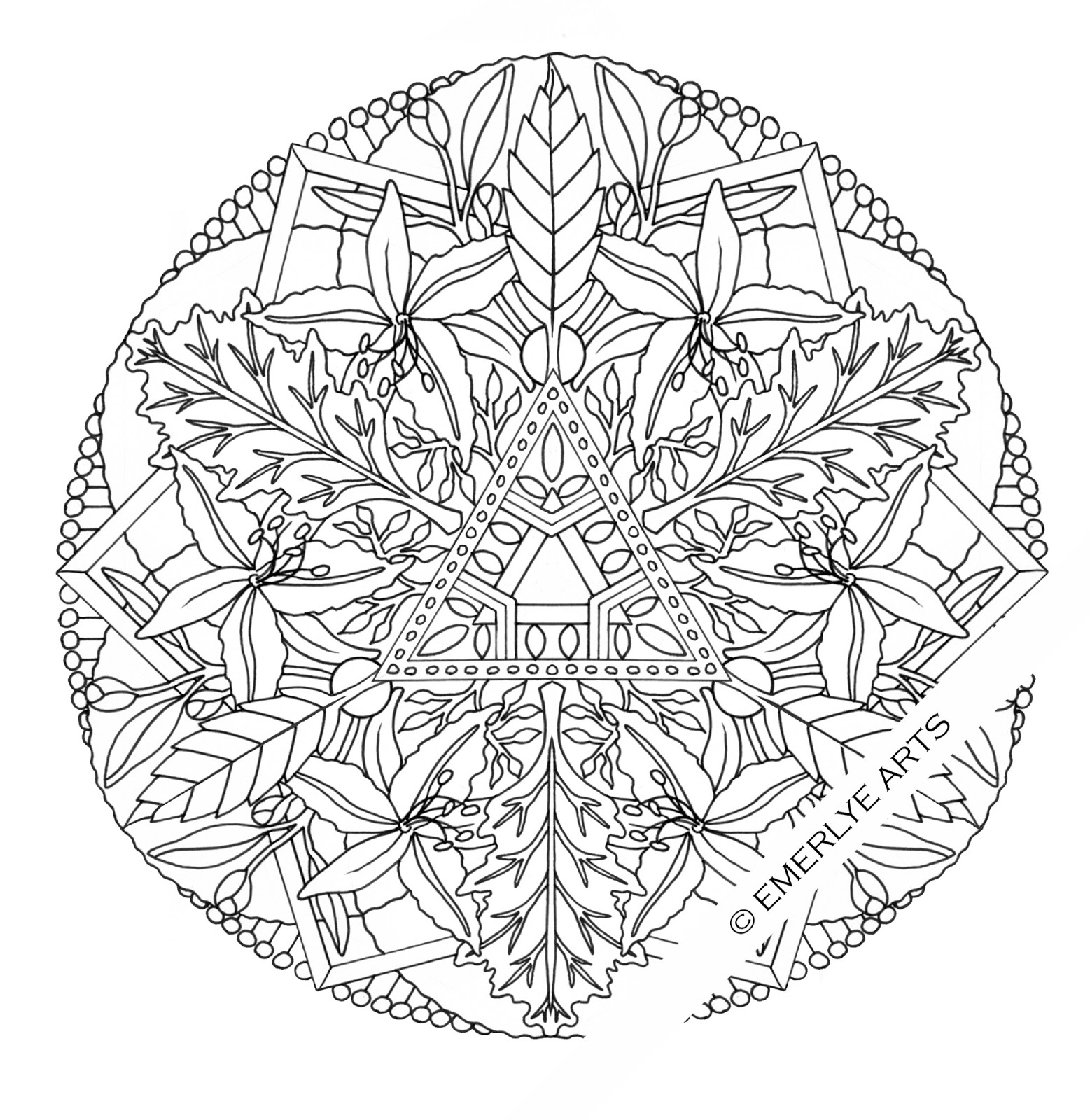 Coloriage de fleurs variées sur fond simple