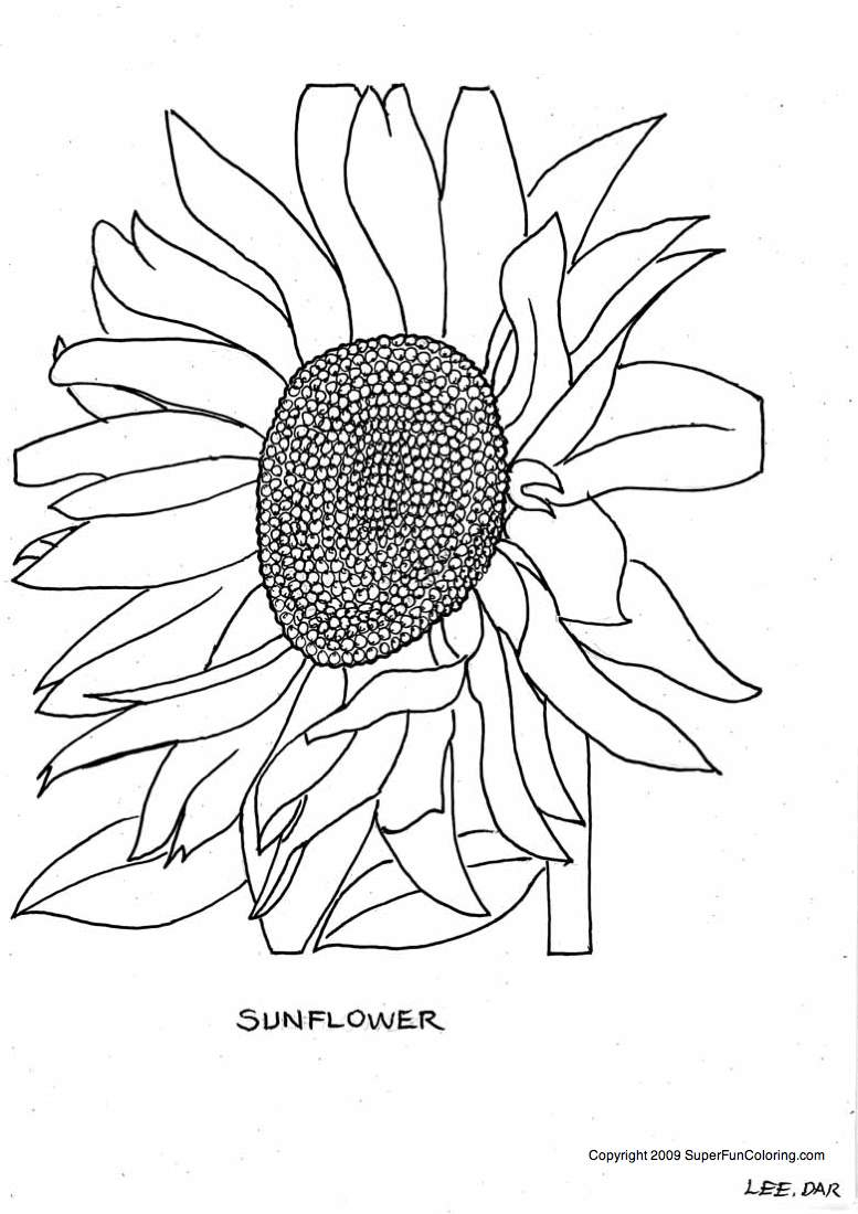 Coloriage de fleurs variées dans un jardin imaginaire