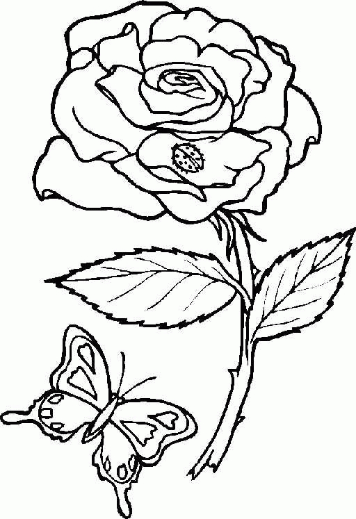 Coloriage de fleurs variées en pleine floraison