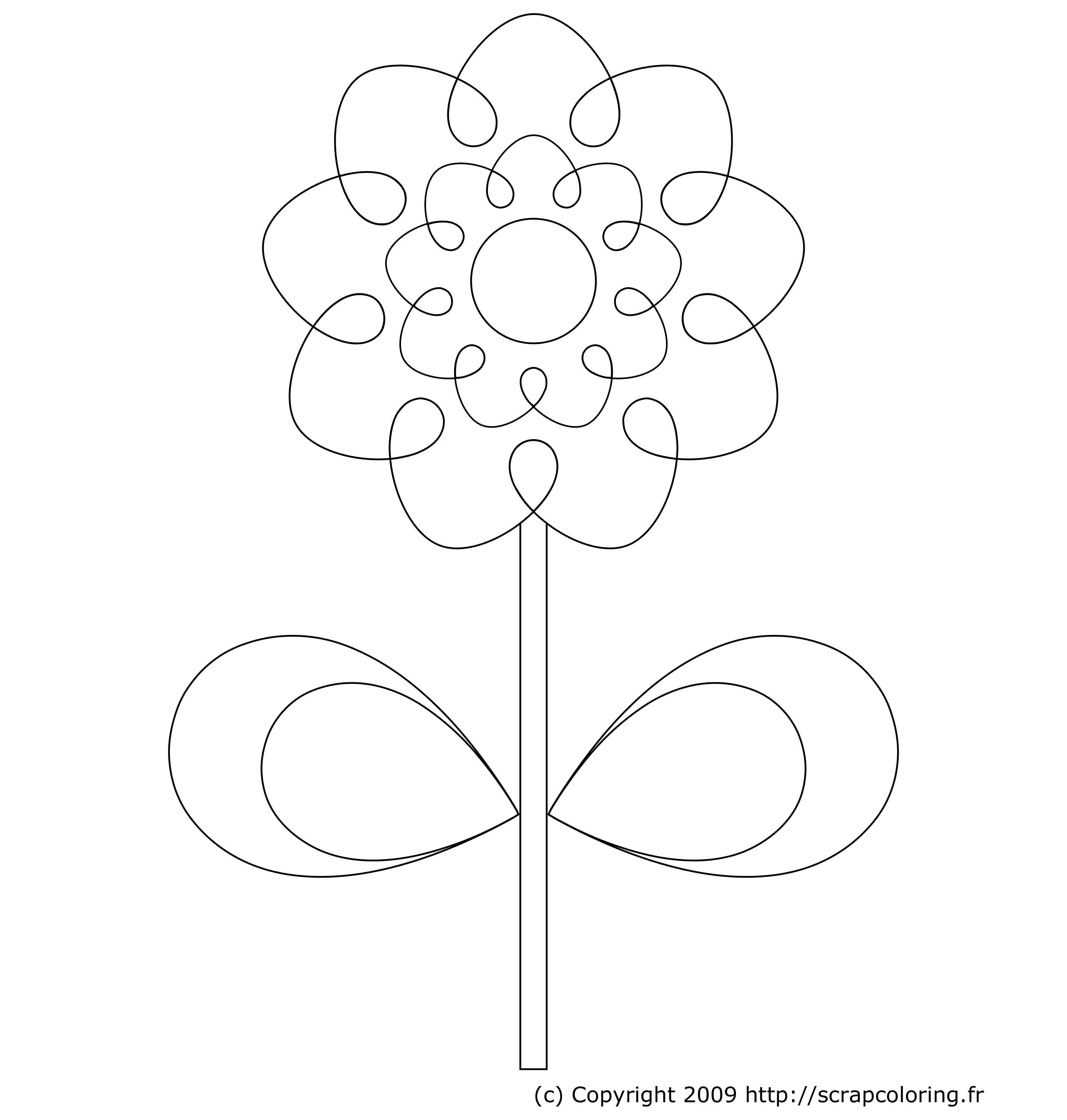 Coloriage de fleurs élégantes et feuillages luxuriants